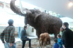 výlet za mamutem