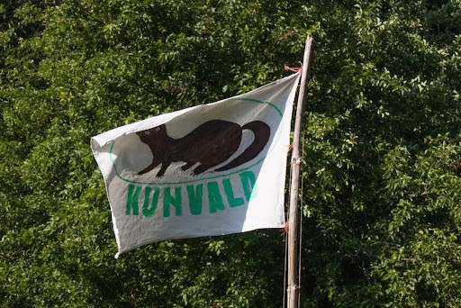 01 Kuny